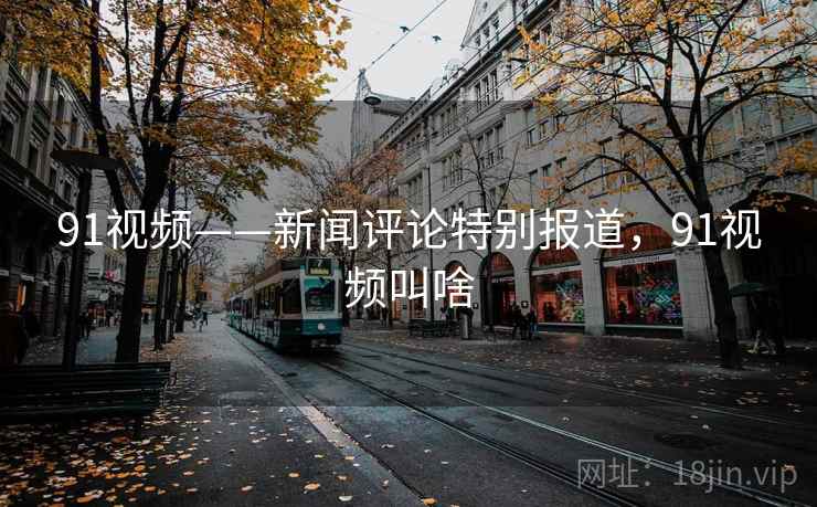 91视频——新闻评论特别报道，91视频叫啥