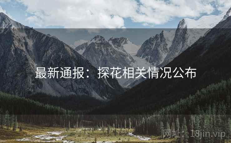 最新通报：探花相关情况公布