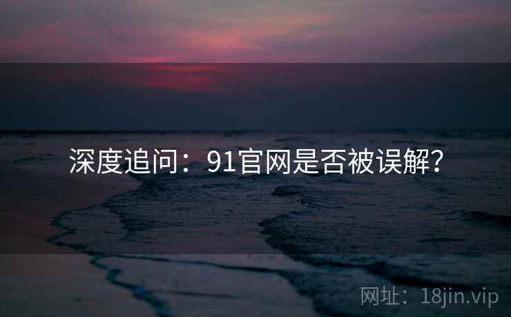 深度追问：91官网是否被误解？