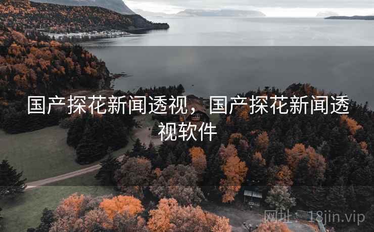 国产探花新闻透视，国产探花新闻透视软件
