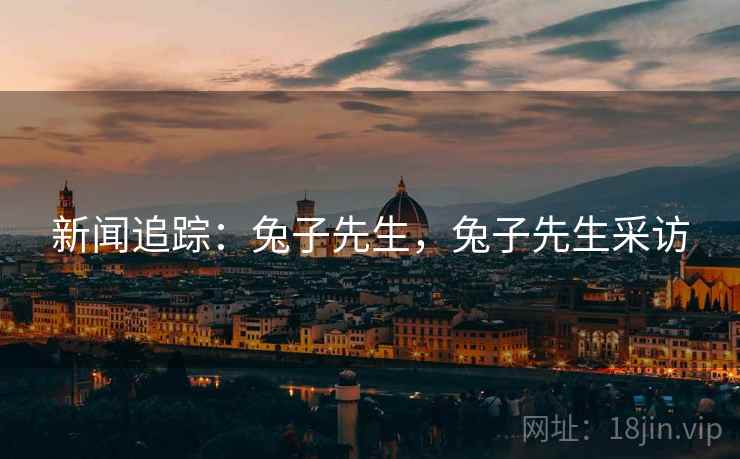 新闻追踪：兔子先生，兔子先生采访