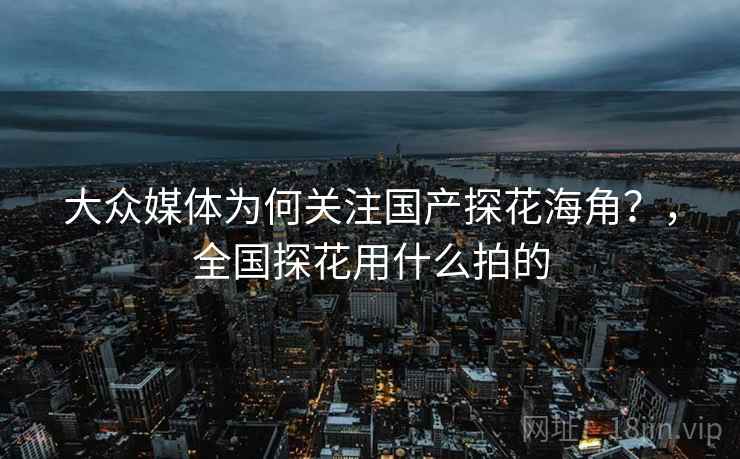 大众媒体为何关注国产探花海角？，全国探花用什么拍的