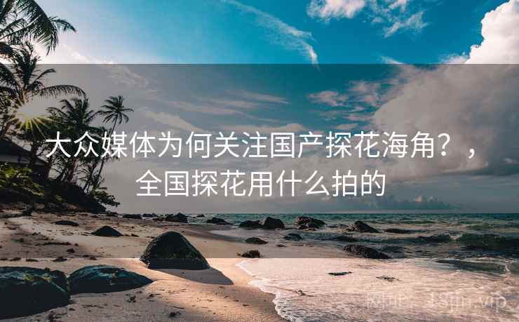 大众媒体为何关注国产探花海角？，全国探花用什么拍的