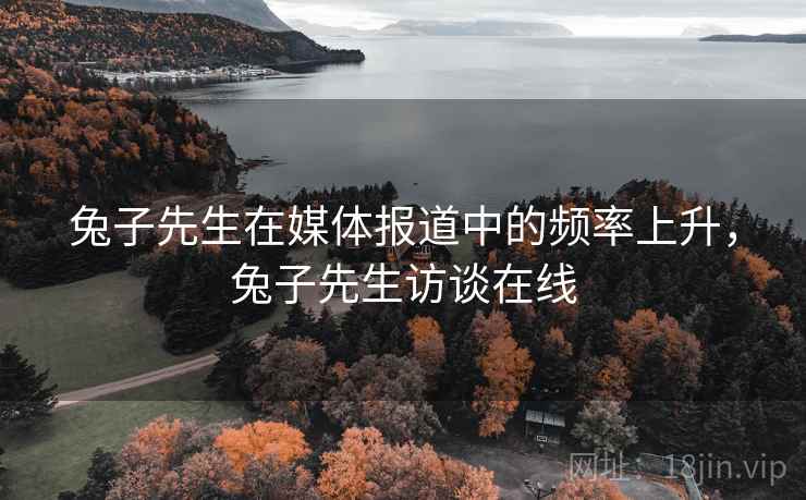 兔子先生在媒体报道中的频率上升，兔子先生访谈在线