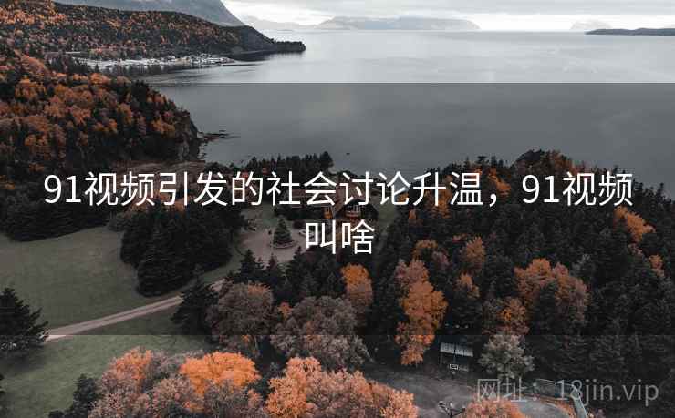 91视频引发的社会讨论升温，91视频叫啥