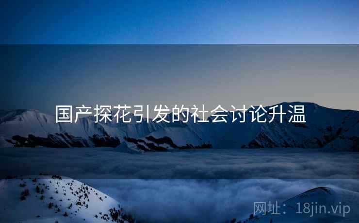 国产探花引发的社会讨论升温