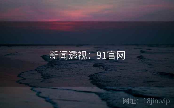 新闻透视：91官网