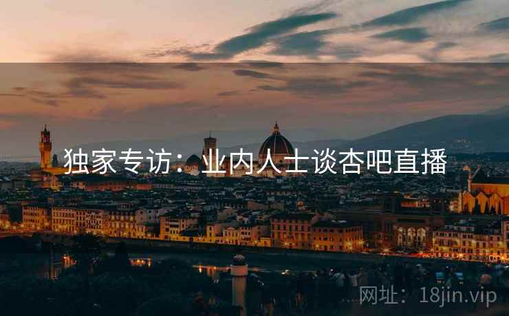 独家专访：业内人士谈杏吧直播