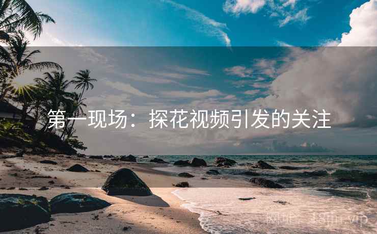 第一现场：探花视频引发的关注