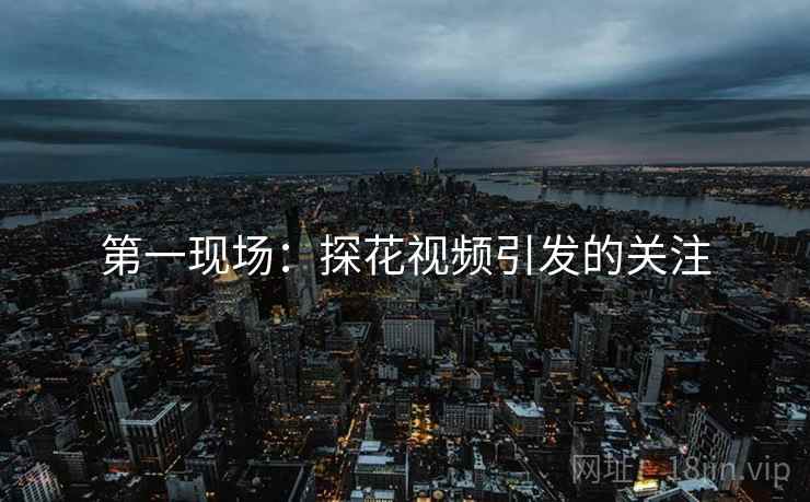 第一现场：探花视频引发的关注