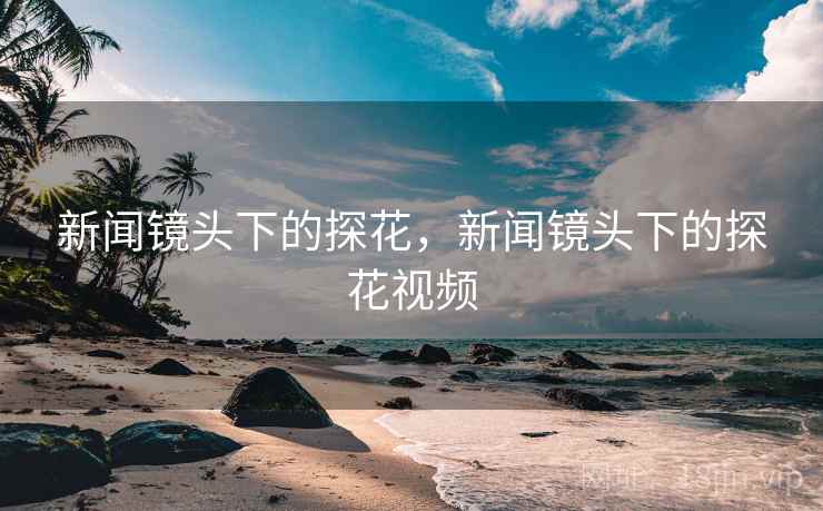 新闻镜头下的探花,新闻镜头下的探花视频 新闻镜头下的探花,新闻镜头下的探花视频