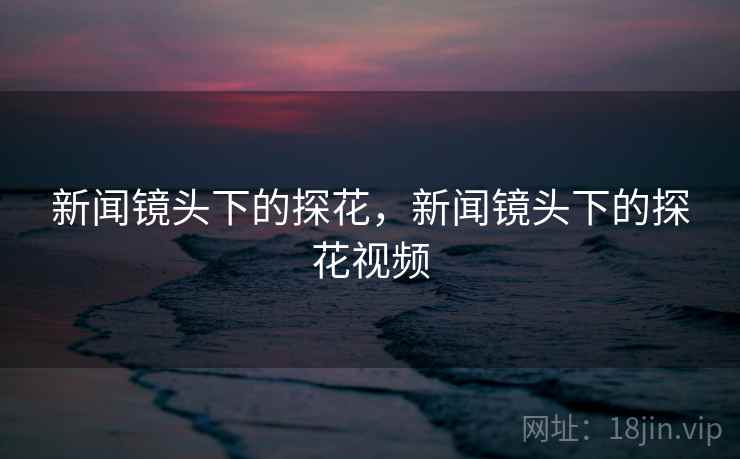 新闻镜头下的探花,新闻镜头下的探花视频 新闻镜头下的探花,新闻镜头下的探花视频