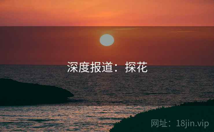 深度报道:探花 深度报道:探花