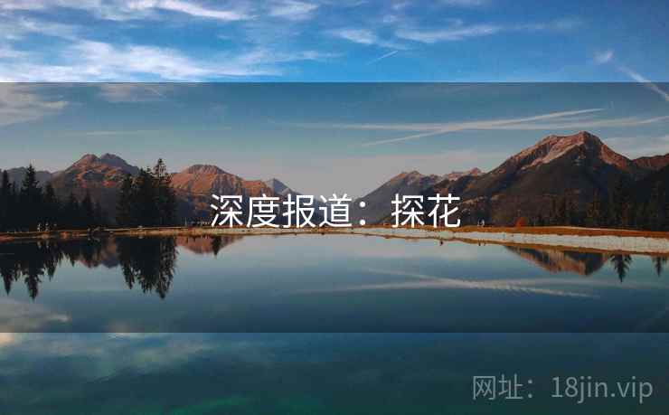 深度报道:探花 深度报道:探花