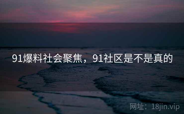 91爆料社会聚焦,91社区是不是真的